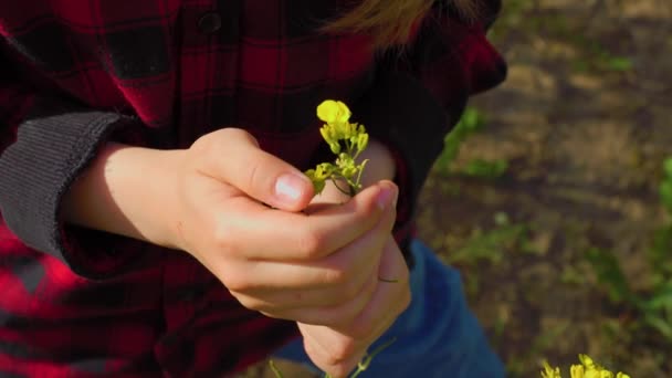 Kid Hands Naturalist Scientist Explores Plant Life Och Insect Life — Stockvideo