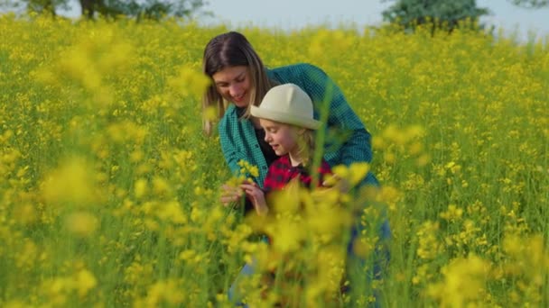 Семейная Сцена Фермеров Мама Малышка Осматривают Урожай Рапса Счастливые Мать — стоковое видео