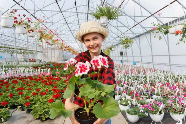 Elinde saksı çiçeği olan gülümseyen Amerikalı çocuk. Serada gülen çocuk, bir sürü çiçekle mutlu çocukluk, kopyalama alanı.