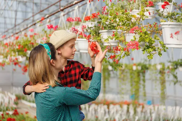 Güzel bir anne ve kız çocuğu serada çiçekleri analiz ederken izliyor. Bitki teftişi ve kontrol, kadın ve çocuk. Gelecek nesil için deneyim paylaşımı