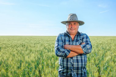 Tarladaki yaşlı çiftçi kırsal alandaki yeşil bitkilerle tarlada dikilirken kameraya bakıyor.