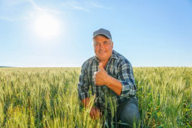 Neşeli yaşlı çiftçi kameraya bakıyor ve kırsal kesimdeki yeşil tarım çiftliğinde otururken başparmağını kaldırıyor. Kırsal kesimde iyi bir çiftçi.
