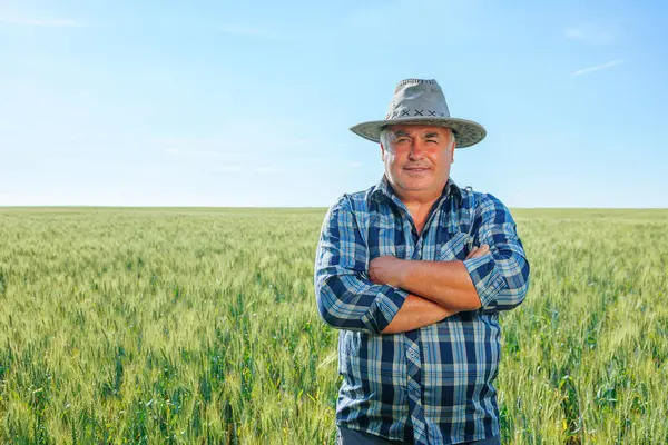 Tarladaki yaşlı çiftçi kırsal alandaki yeşil bitkilerle tarlada dikilirken kameraya bakıyor.