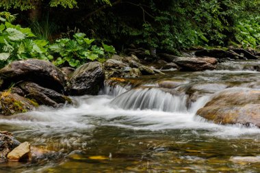 Doğal harikalar sergilenir, bir dağ nehri zarif bir zarafetle akar, uzun pozlama tekniği kullanılarak yakalanır, el değmemiş suyun pürüzsüz ve sürekli hareketini vurgular..