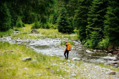 Sırt çantalı genç bir gezginin arka görüntüsü, etkin bir yaşam tarzına dalmış, yüksek bir ormanın yemyeşil yeşilliğiyle çevrili huzurlu bir patikaya yükseliyor..