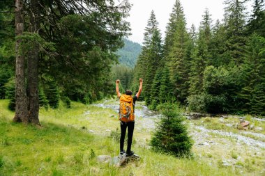 Yürüyüşe çıkan, huzurlu, yüksek irtifadaki yeşil bir ormanda yürüyüş yapan, aktif bir turistin ruhunu yansıtan genç bir adamın tam boy görüntüsü..