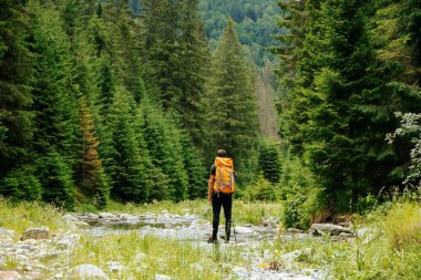 Görüntü, genç bir beyaz adamın yürüyüş ve yürüyüş cazibesini yakalıyor, sırt çantalı bir gezgin, sakin yüksek irtifadaki yeşil ormanda bir patikayı keşfediyor..