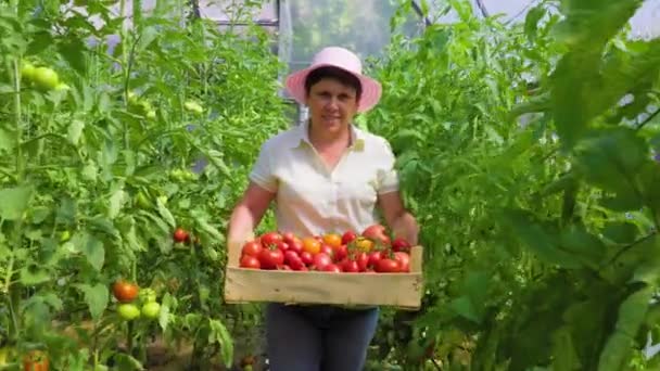 Горда Жінка Власник Ферми Показує Камері Стиглі Органічні Овочі Зібрані — стокове відео