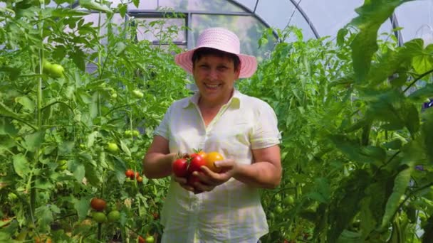 Successful Mature Female Farmer Showing Crop Tomatoes Greenhouse Woman Holding — Stockvideo