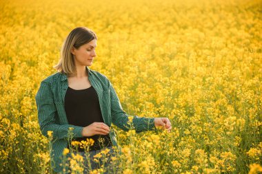 İyi bir kadın çiftçi, kolza tohumu mahsulünü inceliyor. Tarımın arka planında bir kadın çiftçinin yan görünüşü