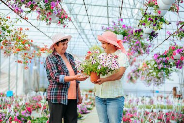 Front view looking at each other two elderly women in greenhouse talking, holding indoor flower. In their hands a flower in pot. There are many other different flowers in the greenhouse. Copy space.