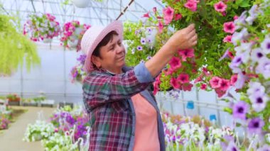 Front view florist woman in a plaid shirt carefully check the quality of grown flowers in pot at greenhouse. Senior worker takes flowers with her hands with care. Copy space.