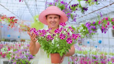 Front view nice senior female florist looking at camera stand in greenhouse smile hold hands pot of flower. Aged woman is happy, flowers in pots are growing beautiful, healthy and ready to sale.