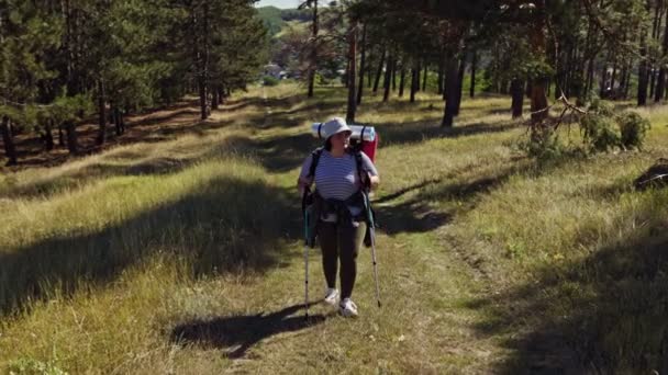 Camine Hacia Bienestar Junto Excursionista Tamaño Grande Descubriendo Tranquilidad Viaje — Vídeo de stock