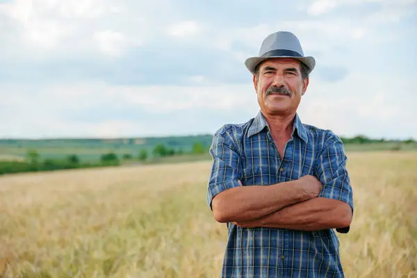 Çiftliğin kalbinde, bilge ve yaşlı bir erkek çiftçi ellerini çapraz tutarak, asırlık tarım geleneğine olan bağlılığının bir sembolü olan bereketli buğday tarlasında gururla poz veriyor.