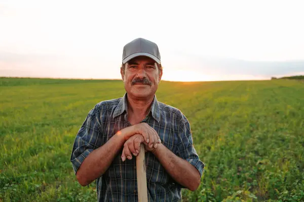 stock image The evening sun casts a warm hue on the face of a male senior farmer, his mustache adding character to the portrait as he rests, exuding relaxation and happiness in the rural tranquility.