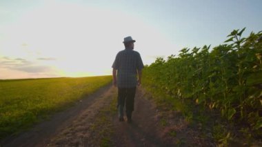 Brezilya 'da gün batımının huzurlu renklerinde, eve doğru, yaşlı bir çiftçi geniş tarım alanlarında yol alır, ayak sesleri zorlu bir çalışmayla kazanılan esnekliği yansıtır..