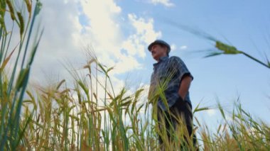 Ziraatte daha yaşlı olan kıdemli çiftçi, elleri cebinde, bir şapka takmış, gelişmekte olan buğdayın ortasında deneyim ve esnekliğin özünü yakalıyor.,