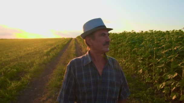 Sunset Reverie Μια Οδυνηρή Στιγμή Ξεδιπλώνεται Καθώς Ένας Ηλικιωμένος Αγρότης — Αρχείο Βίντεο