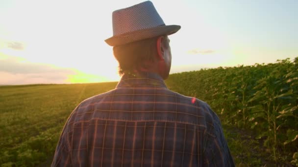 Campos Reflexão Contra Tela Pôr Sol Agrícola Agricultor Sênior Resistido — Vídeo de Stock