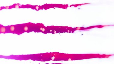 Beyaz boya üzerinde zarif bir şekilde akan parlak yağlı boyaların büyüleyici dansına tanık olun. Mavi ve pembenin büyüleyici bir karışımını ortaya çıkarıyorlar. Seçici odaklı soyut arkaplan