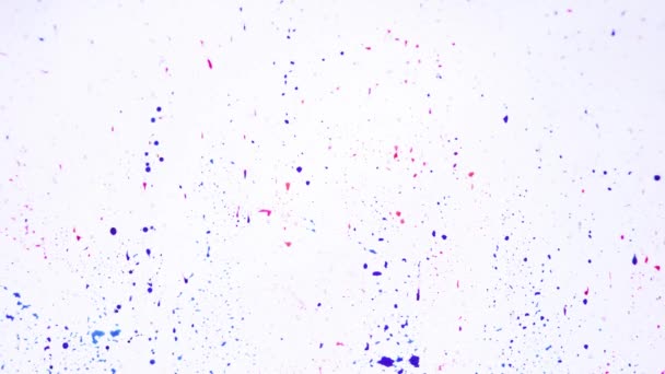 白いペンキの上に水で踊るように明るい油絵のリズム的な流れに魅了され 青とピンクの色合いの魅惑的な混合物を明らかにします 選択的な焦点を有する抽象的な背景 — ストック動画