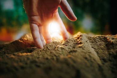 Bahçıvanın ellerine seçici bir şekilde odaklan, arka planda parlayan güneş ve palmiyeler üzerine seçici odaklı verimli toprak yığınını tutan bir çiftçinin ellerine yakın çekim yap.