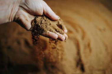 Topraklı bir bahçıvanın ellerine, parmaklarına özenle odaklanmış bir insan elinin yakın plan çekimine, bir bahçıvanın ellerine dikkatle odaklanırken,