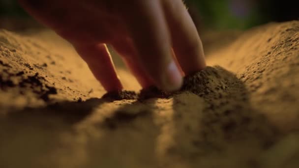 Scenă Idilică Unui Fermier Mâinile Îngrijind Ușor Câmp Culturi Scăldat — Videoclip de stoc