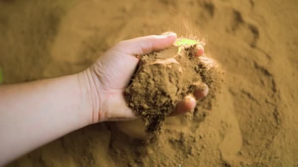 Peaceful Moment Captured Time Hands Gently Work Soil Nurture New — Stock Video