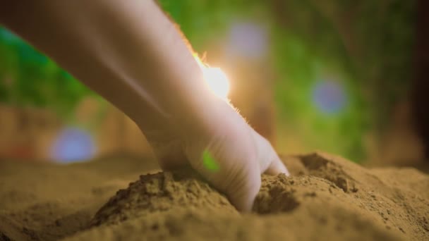 Güneş Işığının Sıcaklığı Bir Çiftçinin Ellerinde Parlıyor Topraklarına Özenle Bakıyorlar — Stok video