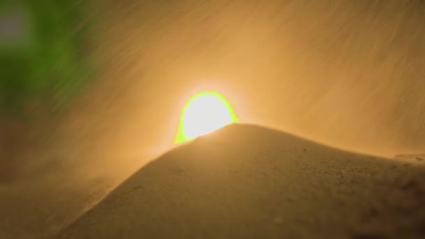 Крупным Планом Снимок Срезанной Почвы Пыли Земле Демонстрирует Богатые Цвета — стоковое видео