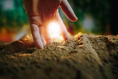 Bahçıvanın ellerine seçici bir şekilde odaklan, arka planda parlayan güneş ve palmiyeler üzerine seçici odaklı verimli toprak yığınını tutan bir çiftçinin ellerine yakın çekim yap.