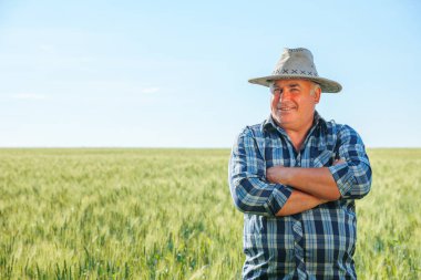 Kıdemli erkek çiftçi, yaz günü kırsal kesimde yeşil bitkilerle tarımsal alanda dikilirken düşünceli bir yüzle diğer tarafa bakıyor.