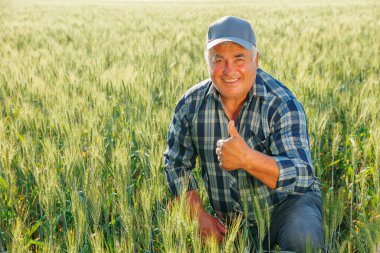 İyimser, olgun bir erkek işçi, yeşil bitkilerle tarımsal alanda otururken el hareketi yapıyor ve kameraya bakıyor. Gülümseyen çiftçi başparmağıyla tarlada oturuyor.