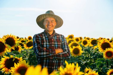 Genç bir çiftçi ayçiçekleriyle dolu bir tarlada duruyor. Adam kollarını kavuşturdu. Gülümsüyor. İnsan ve kopyalama alanı