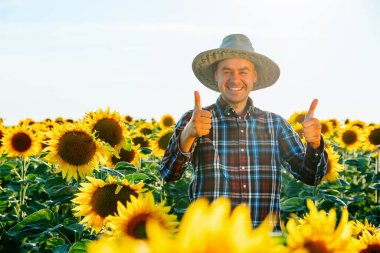 Genç ve mutlu bir çiftçi başparmağıyla tarlada kameraya bakıyor. Neşeli işçi adam ilk hasatında sevinir. Şapkalı erkek her şeyin ne kadar iyi olduğunu gösteriyor. Boşluğu kopyala.