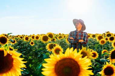Şapkalı genç bir çiftçinin portresi güneşli bir günde ayçiçeği mahsulünü inceler. Ciddi yüzlü bir adam daha sonra ne yapacağını düşünür. Uzağa doğru bakıyor. İnsan ve kopyalama alanı