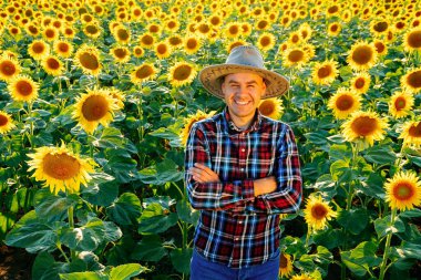 Şapkalı mutlu bir çiftçi, ayçiçekleriyle dolu bir tarlada duruyor. Tarım uzmanının iyimser gülümsemesine sevindim. Kafasında bir şapka var. Yukarıdan bak. İnsan ve kopyalama uzayı. Arkaplan ayçiçekleri