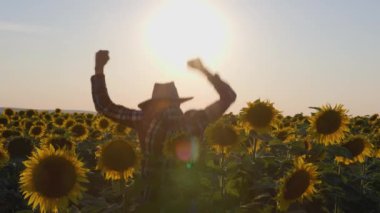 A farmer jumps for happiness in his field with sunflowers at sunrise. back view. His hat flew off. rear view Agronomist shows his success.