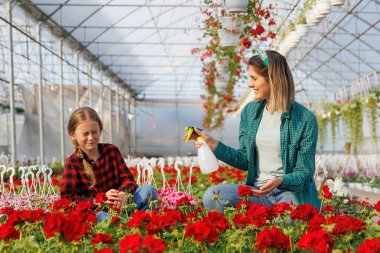 Annesi kızını ıslatıyor, serada çalışırken eğleniyor. Mutlu çiçek yetiştirenler ailesi, mutlu çocuk ve kadın birlikte oynayıp eğleniyorlar.