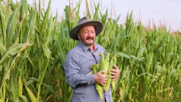 Side View Proudly Standing Elder Farmer Holding Corn Crop Turns — Stok video