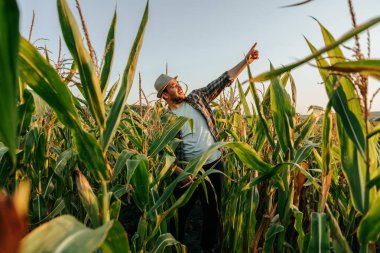 Front view young joyful farmer male stand in cornfield raised hands up show sky, lean slightly to left, looking up right. Optimistic agronomy stand in field, tall trunks of corn are visible in front.