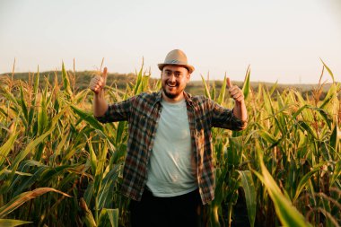 Front view looking at camera, wink, young man in field shows gesture thump up, ok, dancing, say wow. A happy farmer is happy from success of his business. The corn business is profitable. Copy space.