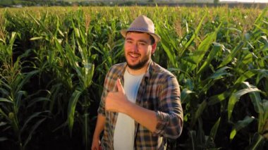 Smiling young man agronomist stand in field showing thumb up in corn field, looking at camera Male farmer shows what a great corn he has grown. On the face of a a slight smile of pleasure.
