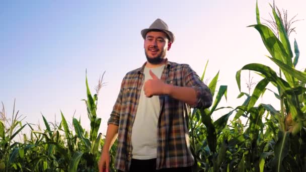 Kamerát Nézem Férfi Farmer Megmutatja Milyen Nagyszerű Kukoricát Termesztett Öröm — Stock videók