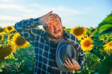 Kareli gömlekli yaşlı çiftçi kameraya bakarken alnına dokunuyor. Kafkasyalı yaşlı erkek işçi ayçiçeği tarlasında çalıştıktan sonra yorgun hissediyor. Duygu ve duyguları algıla