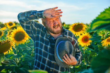 Kareli gömlekli yaşlı çiftçi kameraya bakarken alnına dokunuyor. Kafkasyalı yaşlı erkek işçi ayçiçeği tarlasında çalıştıktan sonra yorgun hissediyor. Duygu ve duyguları algıla