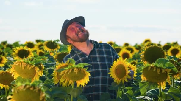 Senior Caucasian Handsome Happy Bearded Man Farmer Standing Sunflower Field — Wideo stockowe