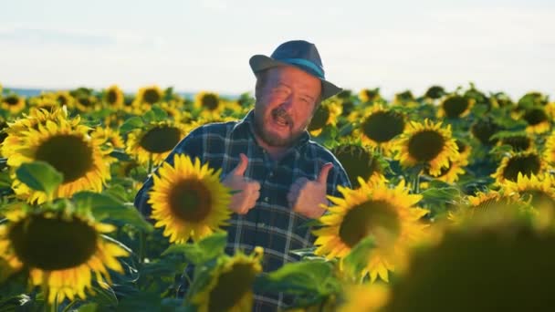 帽子をかぶった年老いた農夫は喜び 日の出にフィールドに親指を見せた 四角形の青いチェックシャツの上に 日没時に サンフラワーフィールドに立っていました 笑顔でカメラを見る — ストック動画